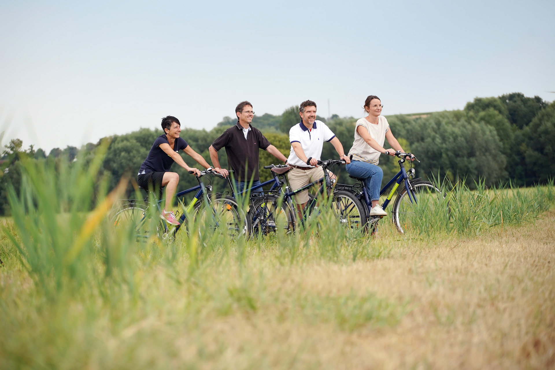 ein sommerlicher Feldweg, vier Personen mit Fahrrädern 