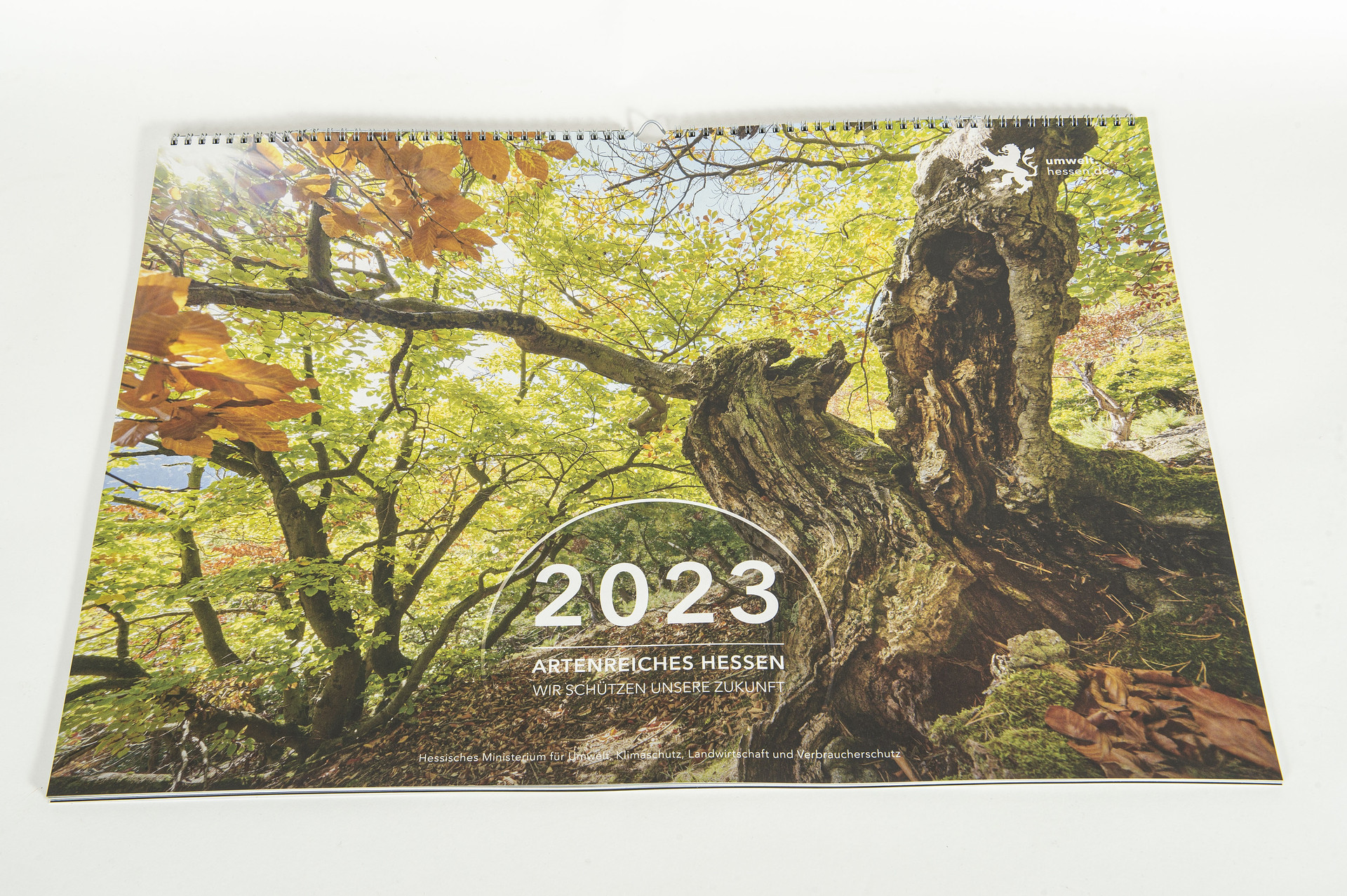 Kalendercover mit einem Baum-Motiv. Der Baum, mit stark verwachsenem Stamm, ist von schräg unten Fotografiert. Oben sieht man durch ein orange-hellgrün gefärbtes Blätterdach den Himmel durchscheinen. Auf dem Cover steht "2023 Artenreiches Hessen Wir schützen unsere Zukunft".  