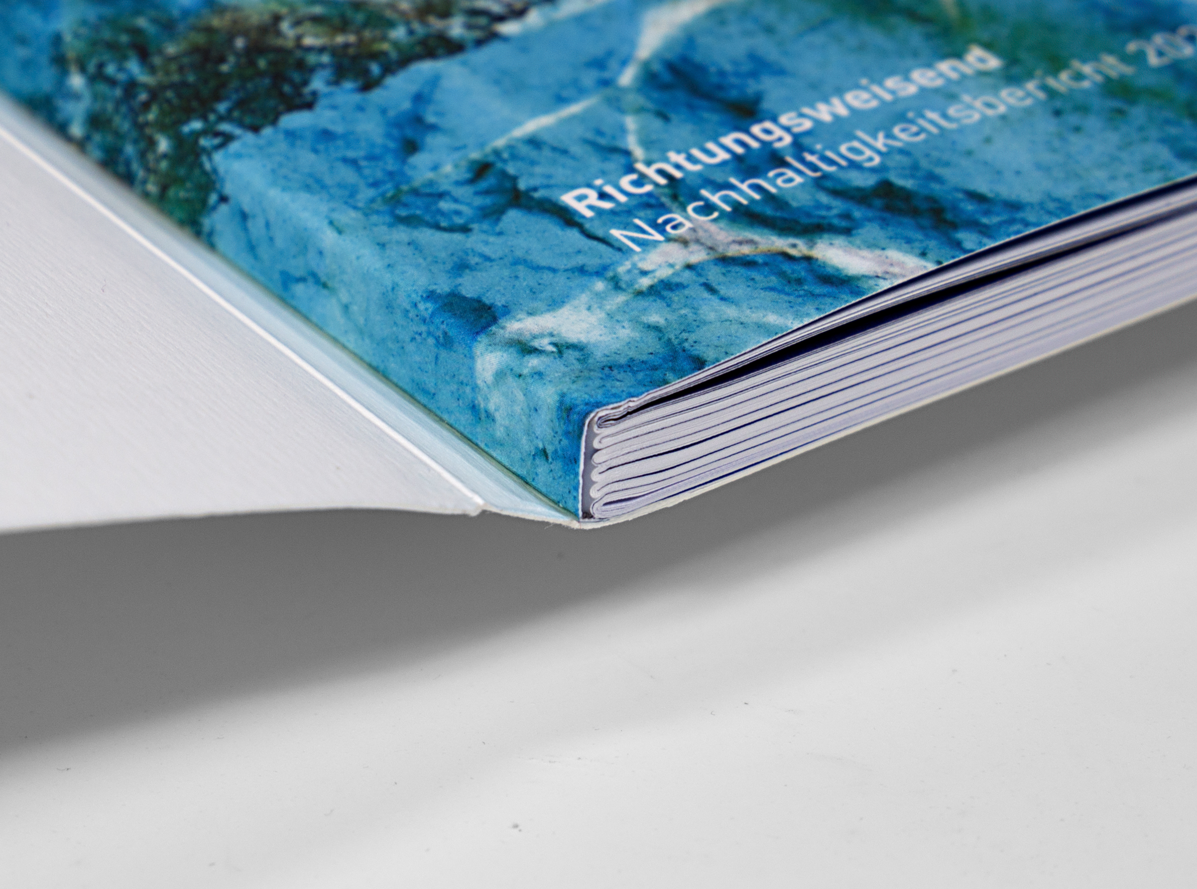 Detailaufnahme der Schweizer Broschur. Das Cover ist weiß, der Innenumschlag erinnert an einen türkisfarbenen Meeresgrund mit schimmerndem Lichteinfall. Darauf ist weiß das Wort "Richtungsweisend" zu lesen