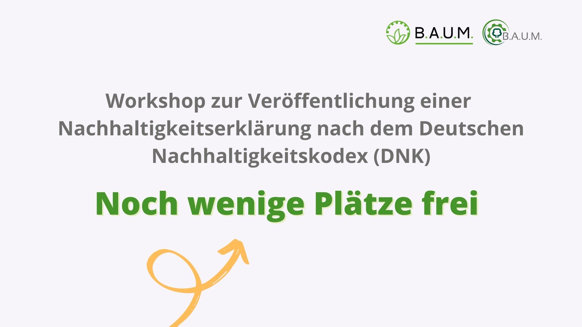 Workshop zur Veröffentlichung einer Nachhaltigkeitserklärung nach dem Deutschen Nachhaltigkeitskodex (DNK): Noch wenige Plätze frei!
