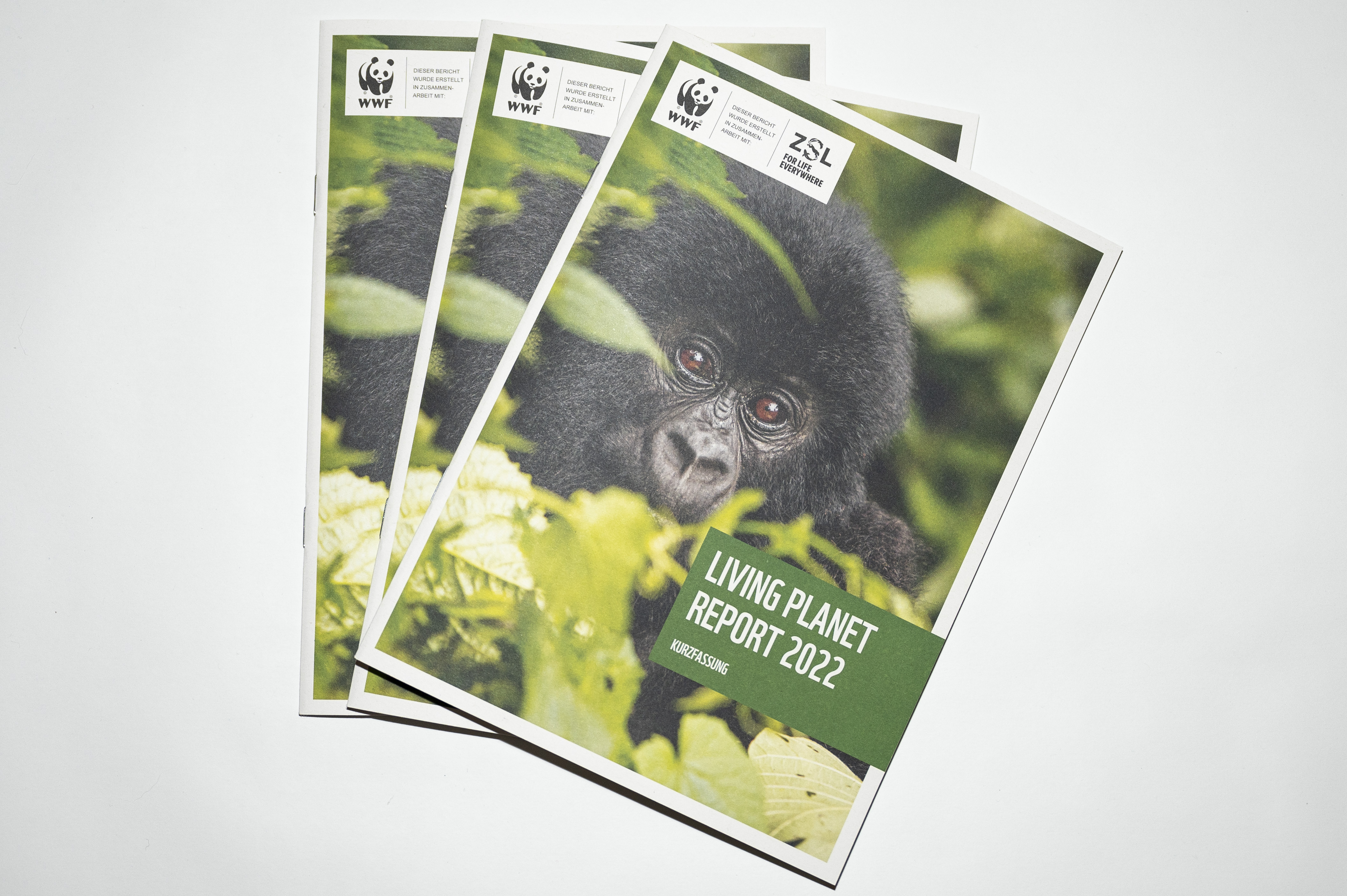 Drei Hefte liegen leicht überlappend übereinander. Auf dem Cover ist ein junger Gorilla zu sehen, der zwischen Blättern hervor schaut. Der Titel ist "Living Planet Report 2022". Links oben ist das WWF-Logo zu sehen. 