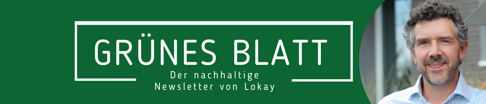 Grünes Blatt - Der nachhaltige Newsletter von Lokay 
