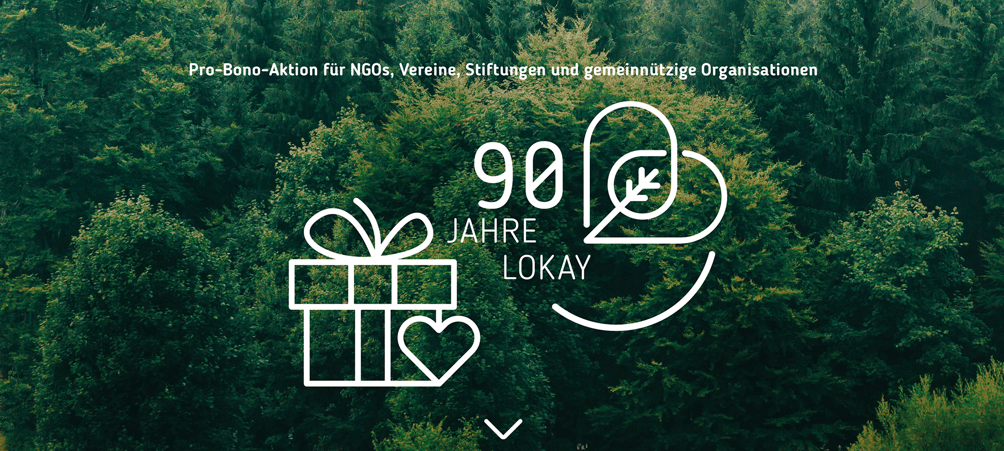 Foto: Filip Zrnzevic / unsplash Text vor dem Hintergrund eines Waldes, von oben fotografiert: 90 Jahre Lokay. Pro-Bono-Aktion für NGOs, Vereine, Stiftungen und gemeinnützige Organisationen